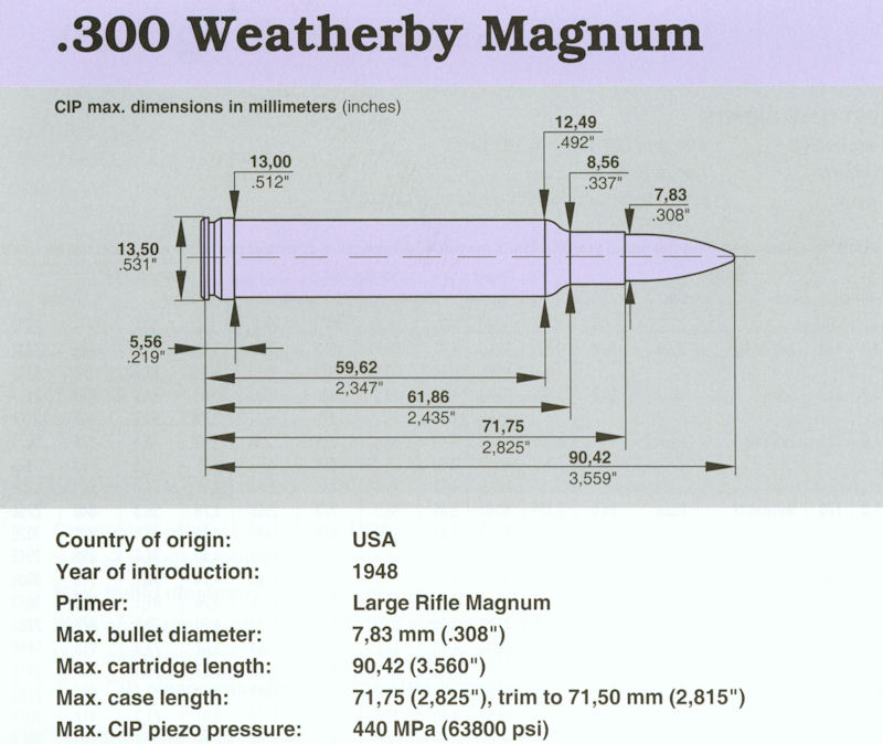 300 Weatherby Magnum